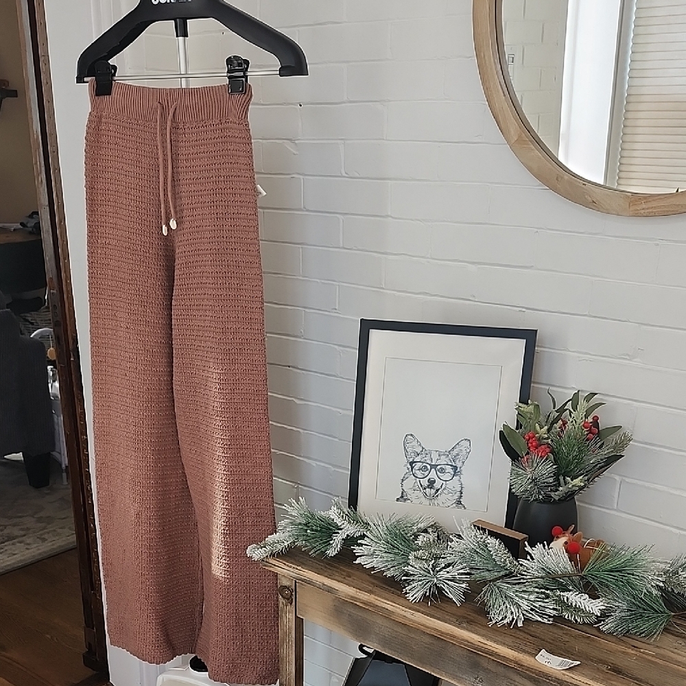 Sincerely Jules Brown Knit Pants